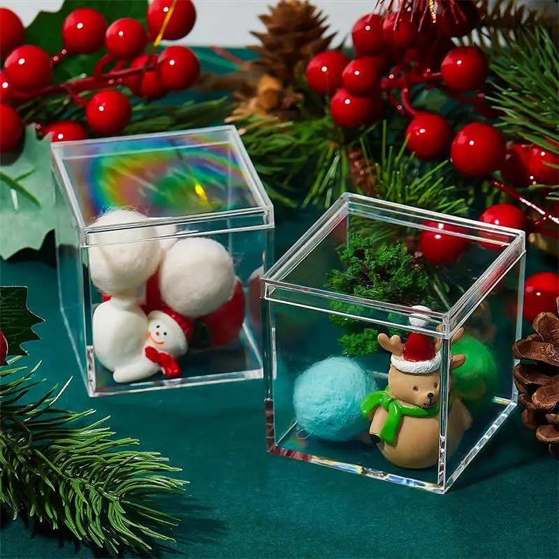 12 個透明アクリルボックスカバー付きプラスチックオーガナイ - Food Storage Acrylic Containers のレビューと価格
