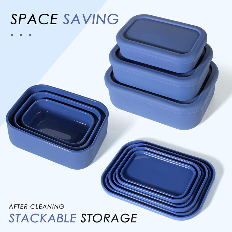 漏れ防止弁当箱 再利用可能 BPAフリー 食事準備容器 食品 - Food Storage Containers B&M のレビューと価格